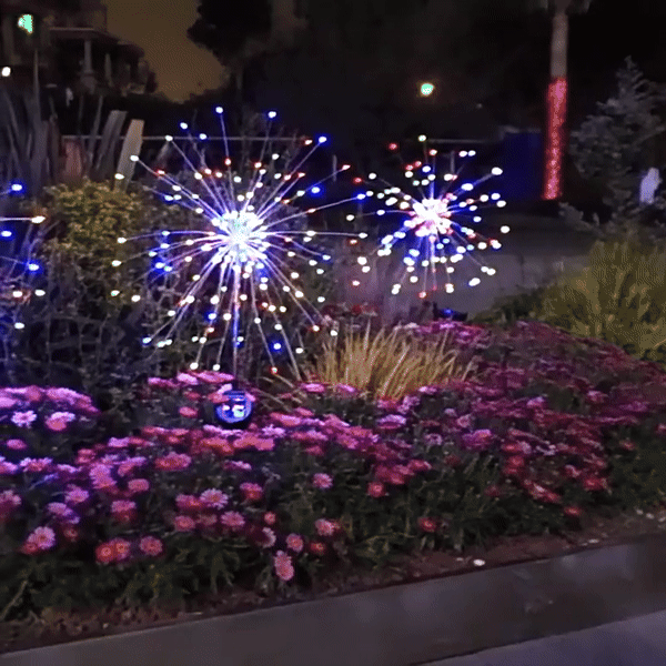 GlowBloom Solar Garden Lights